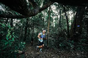 BIB: 
                            <button type="button" onclick="openModal(25390428)" class="btn btn-primary btn-sm float-right btn-popup" data-toggle="modal" data-target=".modal-high-quality">
                        <i class="fas fa-shopping-cart"></i> Add to Cart
                    </button>
                                            <button type="button" onclick="isThisMe(25390428, true)" class="btn btn-success btn-sm float-right btn-popup btn-isme hidden" data-toggle="tooltip" data-placement="bottom" title="นี่คือรูปของคุณใช่ไหม คลิกที่นี่เพื่อเอาเข้าอัลบั้ม">
                        <i class="fas fa-plus"></i> Add to album
                    </button>
                    <button type="button" onclick="isThisMe(25390428, false)" class="btn btn-warning btn-sm float-right btn-popup btn-isnotme hidden">
                        <i class="fas fa-ban"></i> Remove from album
                    </button>